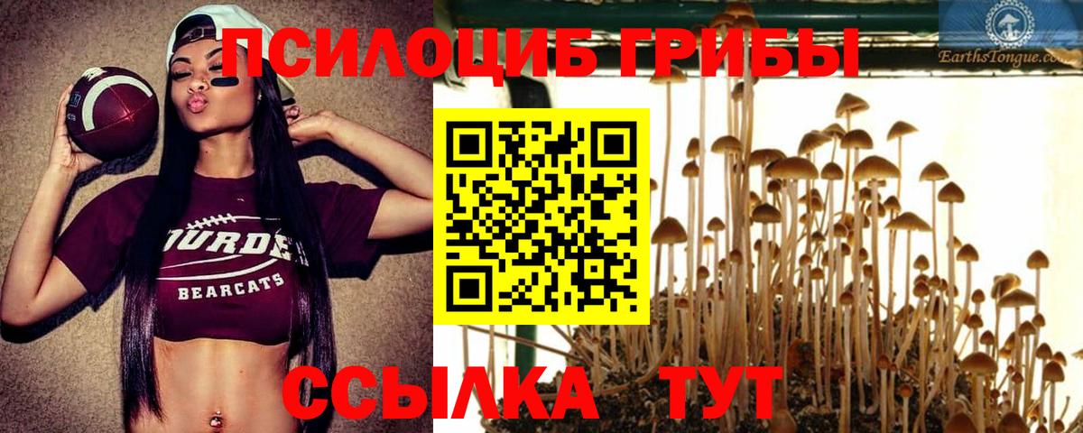 Псилоцибиновые грибы GOLDEN TEACHER Сарапул