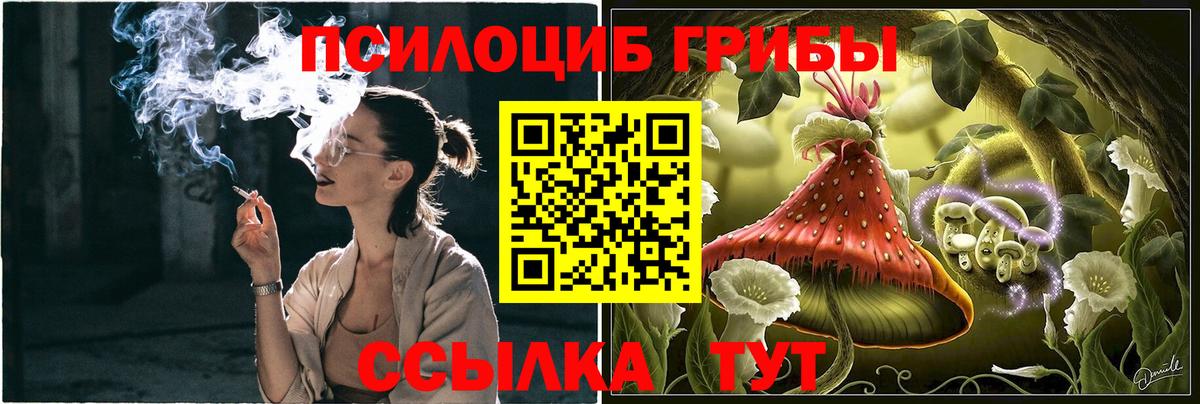 Галлюциногенные грибы ЛСД  Псилоцибиновые грибы Psilocybine cubensis  Сарапул  Вход с VPN 